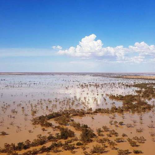 Flood waters reach outback SA!