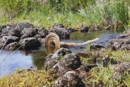 Budj Bim Cultural Landscape Traditional Eel Basket