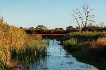 Budj Bim Cultural Landscape Tyrendarra 1