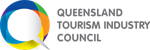 Logo Qtic Website