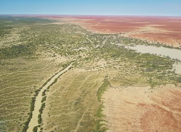 Birdsville 3