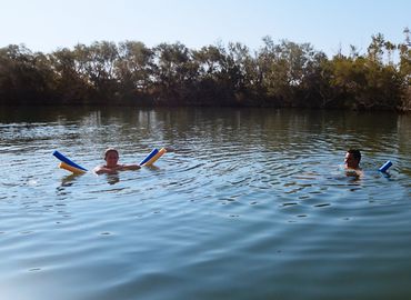 Dalhousie Springs Swim
