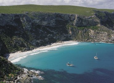 Kanga Isl 130785 3
