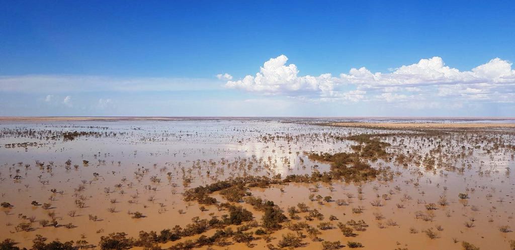 Flood waters reach outback SA!